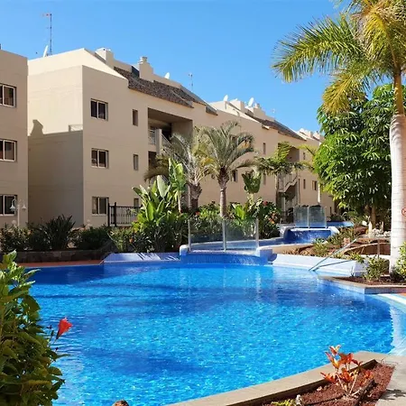 Ocean Hillside بالم مار